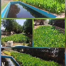 Ahmedabad's Kankaria becomes the country's first 'water neutral' coaching depot