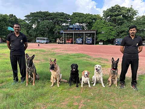 फाइल फोटो