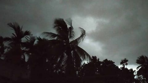 कालबैशाखी का कहर: कोलकाता में आंधी-बारिश से राहत, अलर्ट जारी