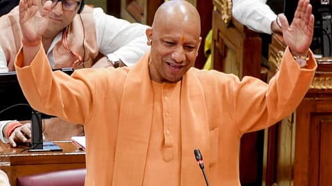 Yogi