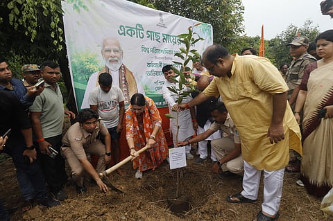 जिले में 15 हजार पौधारोपण करने का लक्ष्य - मंत्री अग्निमित्रा पाल