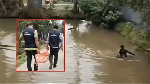 टीएमसी नेता के तालाब में मिले हथियार