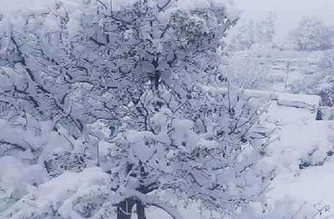 स्नो-ब्लाइंडनेस एक ऐसी स्थिति है जिसमें बर्फ की सतह से परावर्तित होने वाली तीव्र सूर्य किरणें आंखों को नुकसान पहुंचाती हैं।