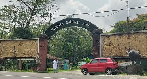 जलदापाड़ा राष्ट्रीय उद्यान

