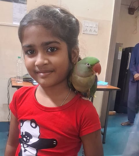 Kolkata: Digital X-Ray of Little Girl's Pet Parrot Comes Out Negative, Family Relieved