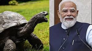 प्रधानमंत्री नरेंद्र मोदी 
