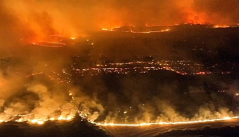 Spain's worst wildfire reduces 1,600 hectares of forest to ashes