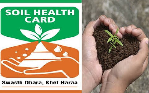 प्राकृतिक खेती का दायरा 8.80 लाख हेक्टेयर तक पहुंचा
