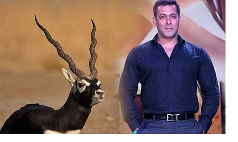 
सलमान खान को राहत, ‘काला हिरण’ टीजर हटेगा
