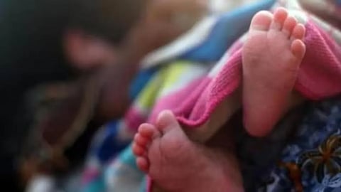 सांकेतिक चित्र 