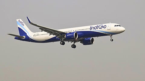 Indigo