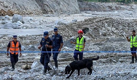 Flood-response dogs in Nepal are searching for bodies by sniffing through flood debris