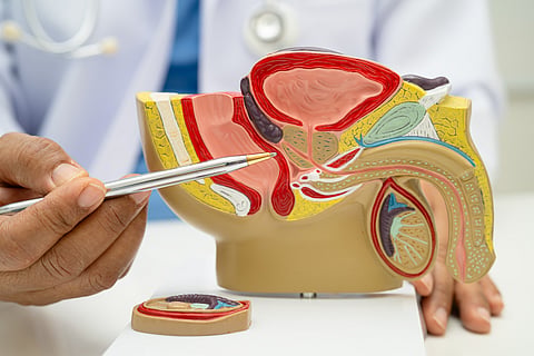 Health