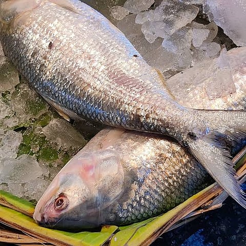 Kolkata
