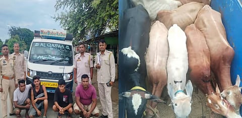 
दो गाड़ियों से 8 मवेशी बरामद, चार लोग गिरफ्तार