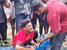 चाय बागान के नाले में फंसा 9 फीट का अजगर
