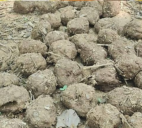 सांकेतिक तस्वीर
