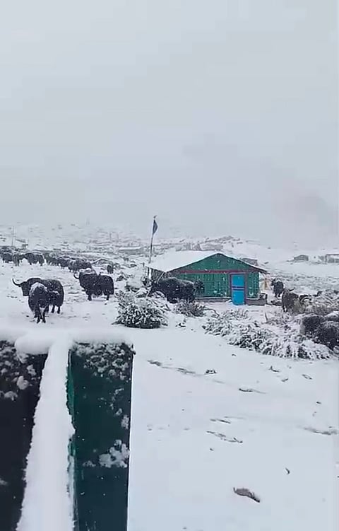 उत्तर सिक्किम के मुगुथांग और काला पत्थर में पहली बर्फबारी, ठंड बढ़ी
