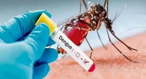 राज्य के स्कूलों में डेंगू की रोकथाम के लिए अहम निर्देश