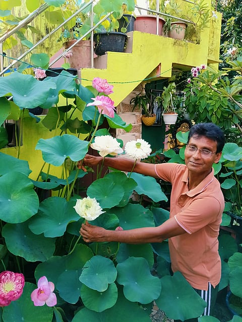 Howrah Naskarpara Rooftop Lotus Garden Becomes Unique Durga Puja Theme Included 30 Species