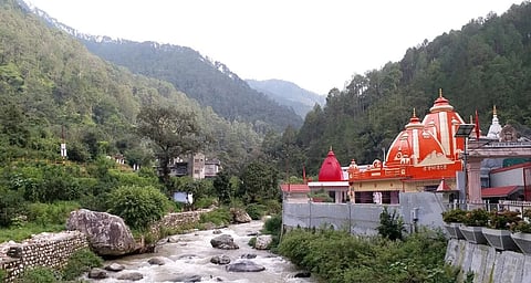 कैंची धाम जा रहा वाहन पलटा, 7 तीर्थयात्री घायल