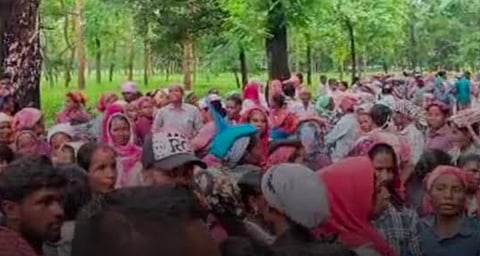 बोनस भुगतान की मांग पर नक्सलबाड़ी चाय बागान में प्रदर्शन