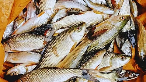 Kolkata
