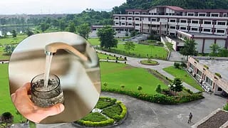 IIT गुवाहाटी की स्टडी में खुलासा, सूखे में जल परिवहन प्रणाली बदलते हैं पौधे