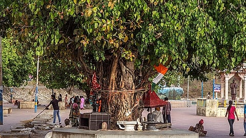 Shaniwar Upay: शनिवार को करें ये अचूक उपाय, जाग उठेगी आपकी सोई हुई किस्मत