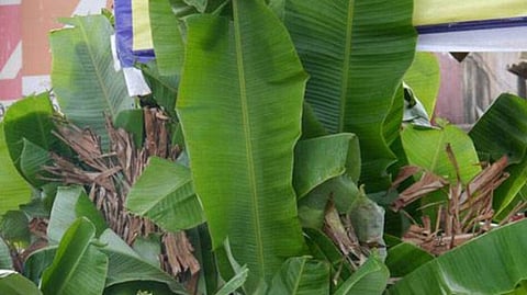 गुरुवार के दिन ये काम भूलकर भी न करें, रुक जाएगी तरक्‍की