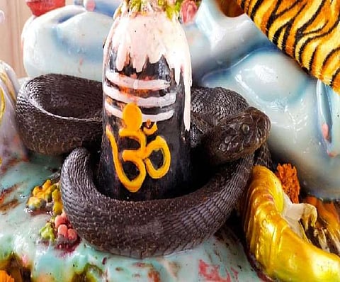 शिवलिंग पर जल चढ़ाने गयी महिला की सांप के डंसने से मौत