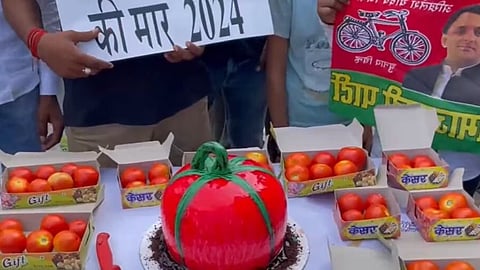 Tomato Cake काट कर मनाया गया इस मशहूर हस्ती का Birthday !