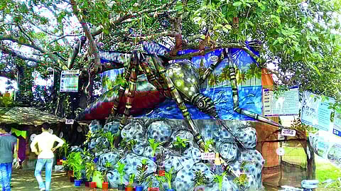 Kolkata Dengue Alert : बंगाल में डेंगू की स्थिति चिंताजनक, नवान्न में हुई अहम बैठक