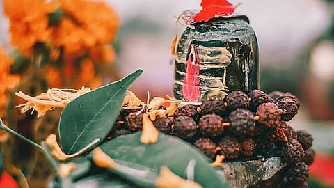 New Year 2024: आज सोमवार सू हुई नए साल की शुरूआत, शिव जी को प्रसन्न करने के लिए करें ये उपाय