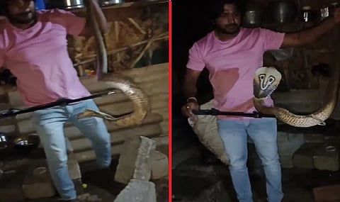 वायरल वीडियो की तस्वीर