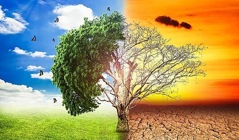जीरो-कार्बन के औद्योगिक युग में तेजी से बढ़ रहा है भारत : जी-20 सम्मेलन में मजबूत की अपनी स्थिति