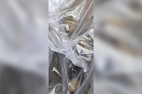 Durga Puja 2023 : बारिश के कारण कुम्हारटोली की रफ्तार पर लगा ब्रेक !