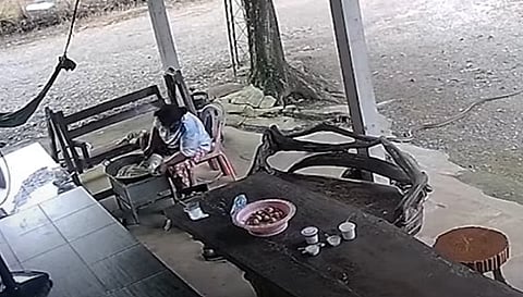 किंग कोबरा ने खाना बनाती महिला के साथ किया ऐसा…