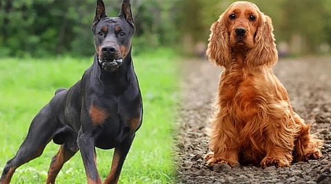 Kolkata News : आपदा में पुलिस की मदद करेंगे ‘श्लोक व मंत्र’