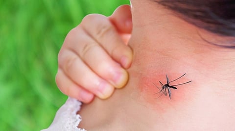 बच्चों में बढ़ रहे हैं डेंगू के मामले, एक महीने में 30 से 40 फीसदी अधिक हैं पीड़ित