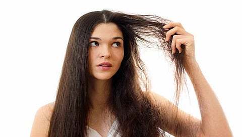 सांकेतिक तस्वीर