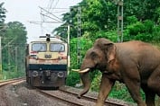अब ‘गजराज’ तकनीक से रेलवे ट्रैक पर बचेगी हाथियों की जान