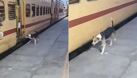 Viral Video: ट्रेन के फुटबोर्ड पर यात्रा करने वालों को कुत्ते ने सिखाई सबक