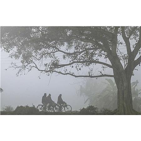 कोहरे की चपेट में उत्तर भारत
