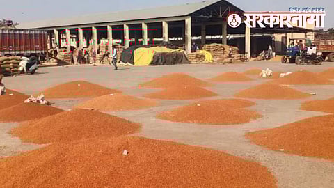 Murtijapur APMC