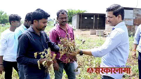 MLA Kailas Patil News