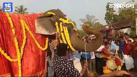 Elephant Madhuri from Kolhapur’s Nandani Math sparked controversy after being moved to Vanatara project in Gujarat, now facing SIT probe over illegal wildlife import.