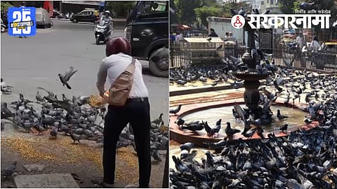 Mumbai Kabootar Khana