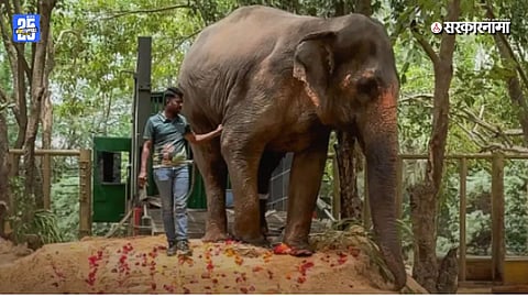Mahadevi elephant Case News Update