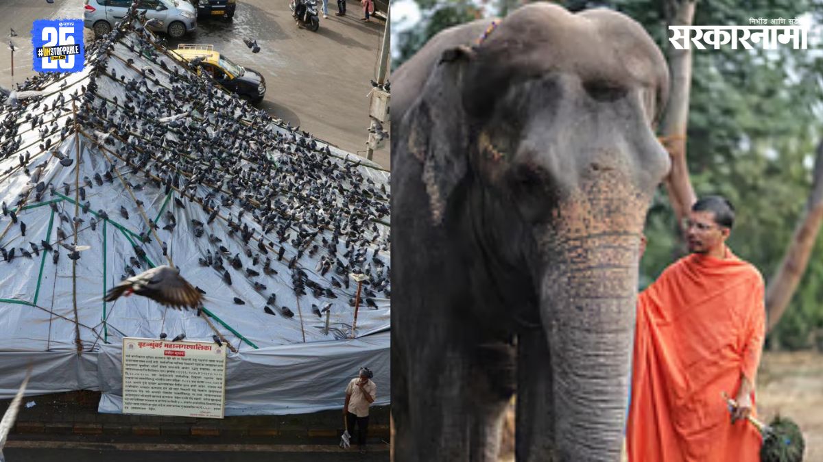 Mahadevi Elephant And Kabutarkhana Controversy